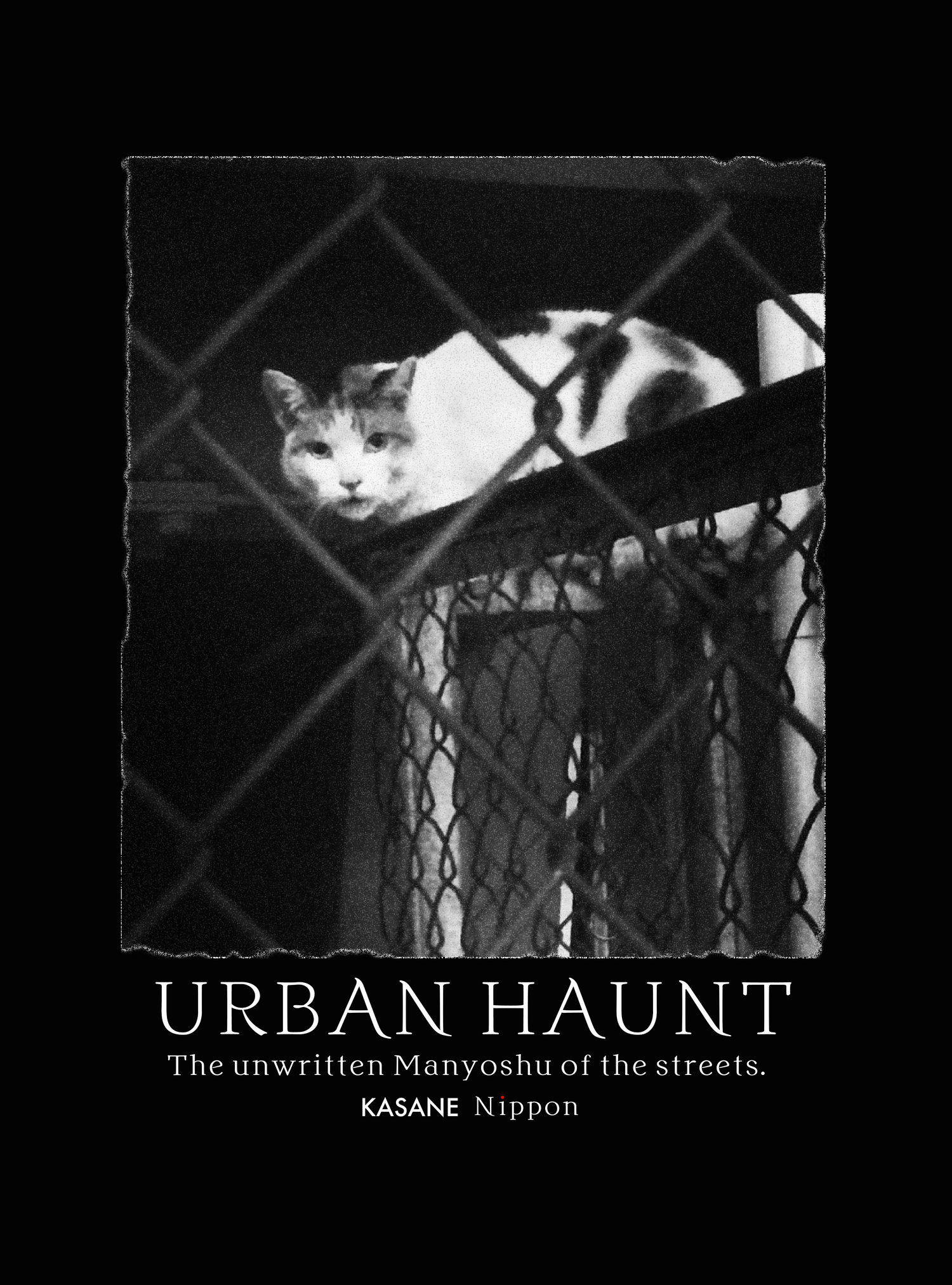 KASANE NIPPON LIFE Collection: Raw monochrome photography documentation of urban wildlife and resilient street felines.