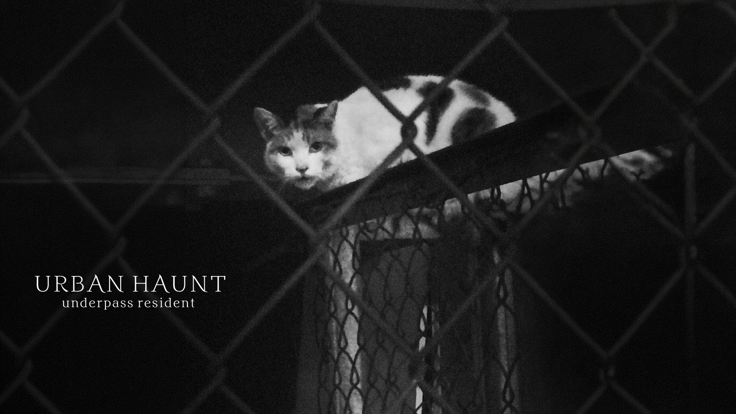SHADOW RESIDENT