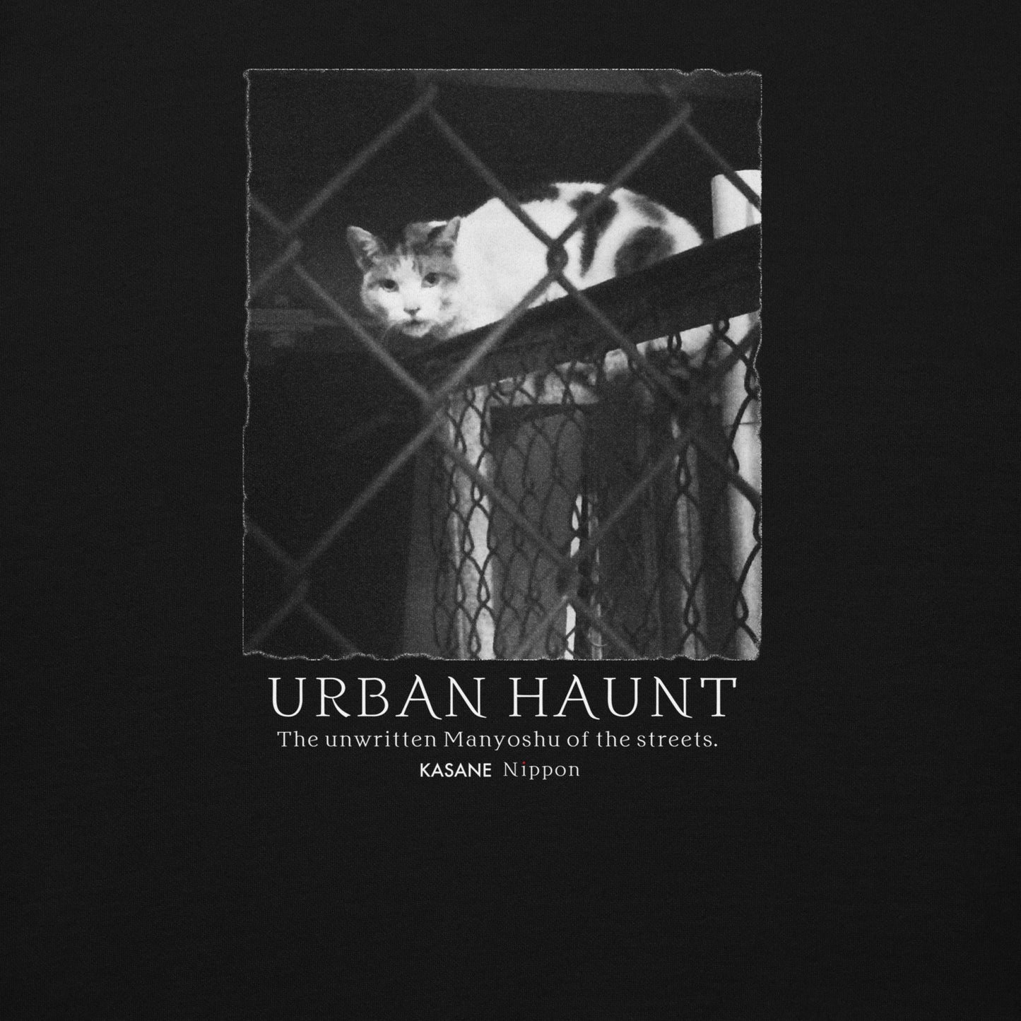 Monochrome nocturnal feline behind chain-link fence photography, urban wildlife shadow resident art, minimalist Japanese graphic design.