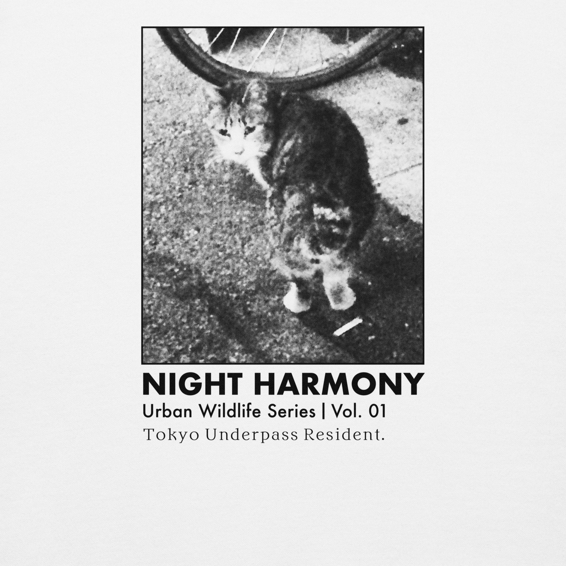 Monochrome street feline photography, urban wildlife aesthetic art, minimalist Japanese graphic design.